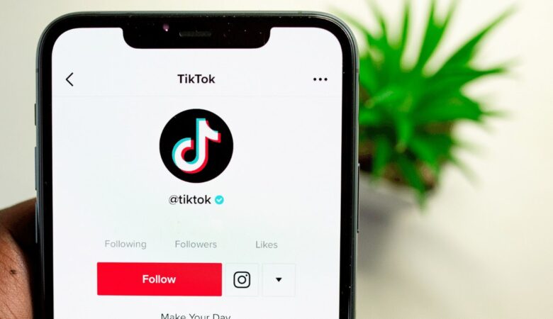 How do you manage TikTok’s online reputation?