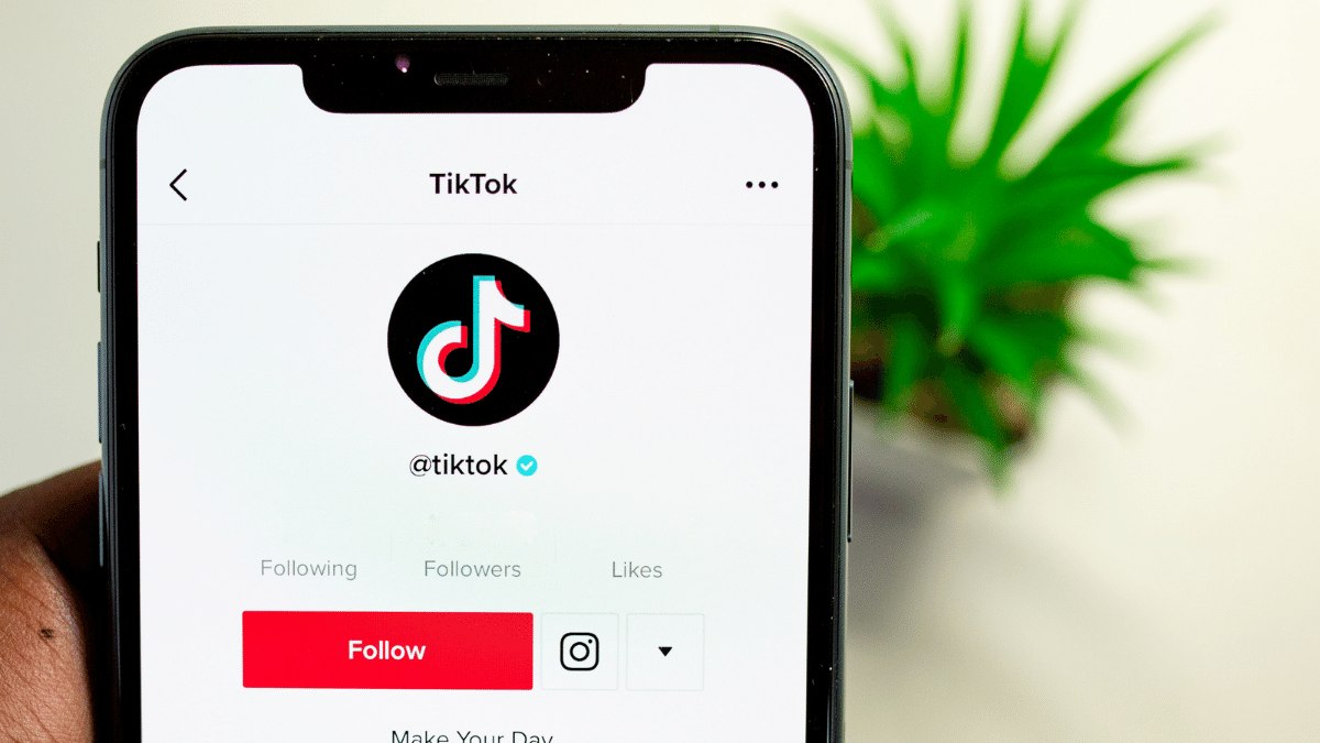 tiktok viewer