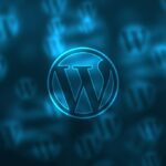 WordPress Developer Can Boost Your SEO