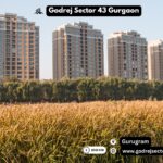 Godrej Sector 43 Gurgaon