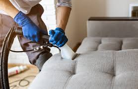 Upholstery cleaning Staten island